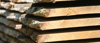 90354 hoyaholz baustoff holz 2