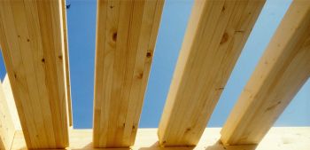 90354 hoyaholz baustoff holz 4